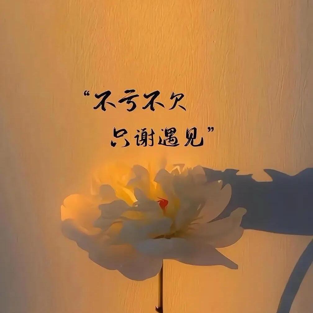 小贝吖