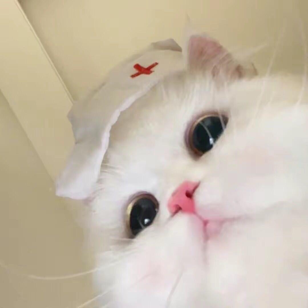 多一点耐心