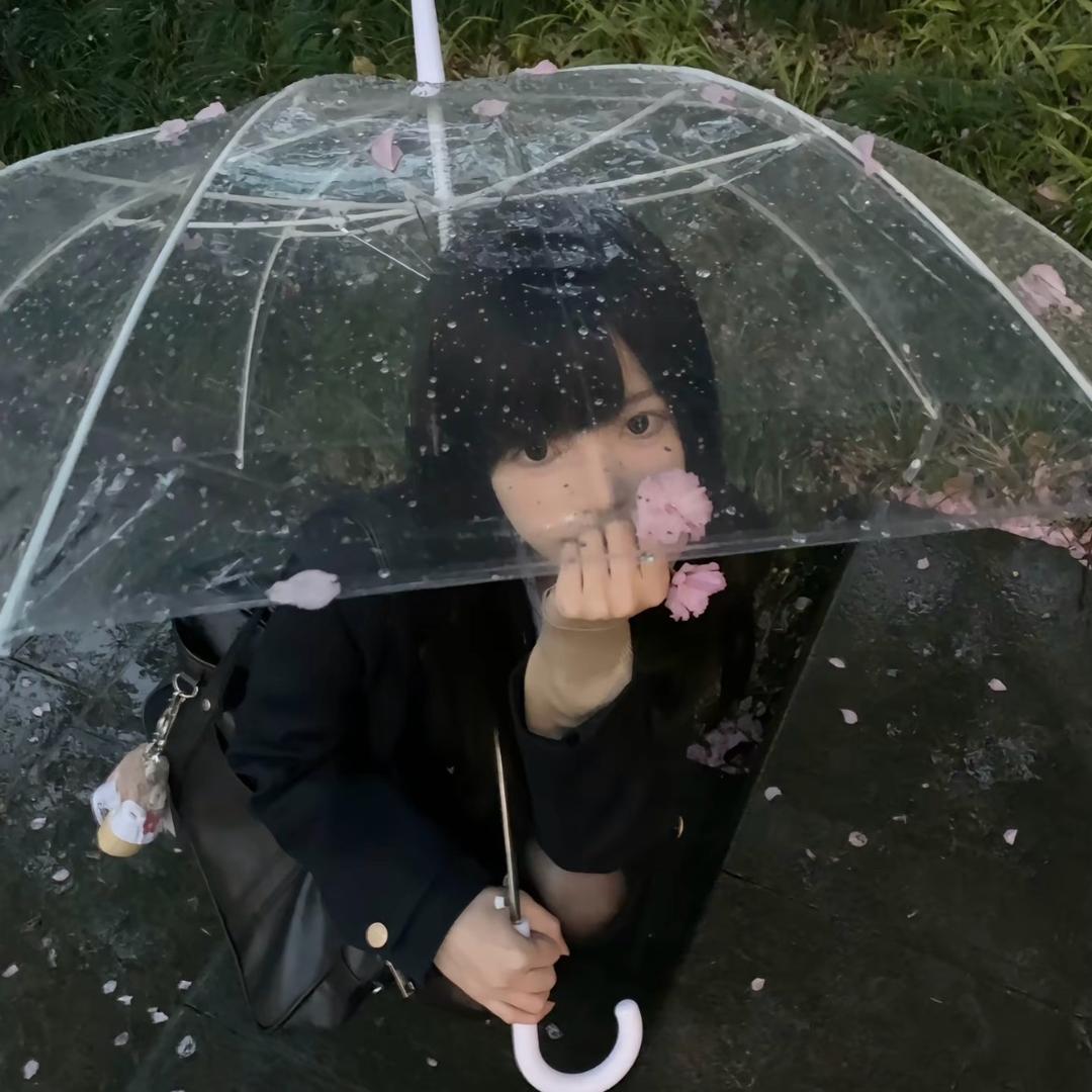莹莹y