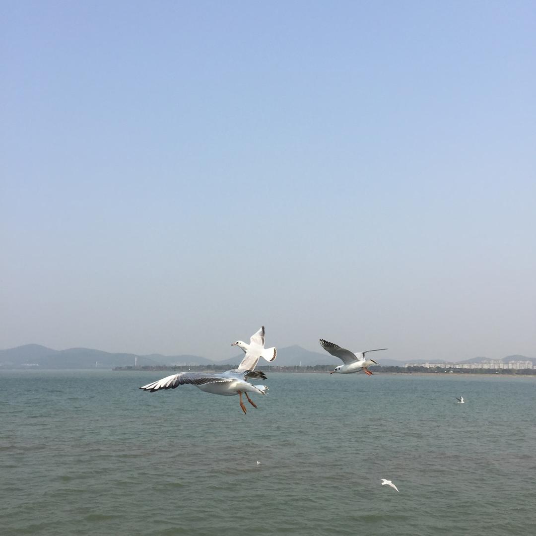 专业精密零件加工