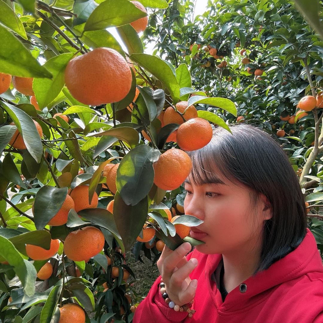 新农人阿兰
