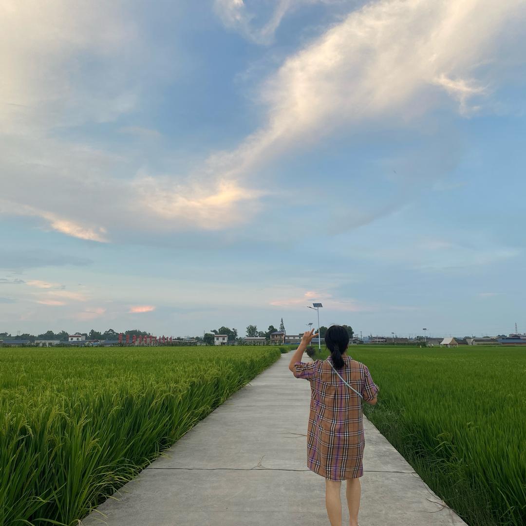 曾曾