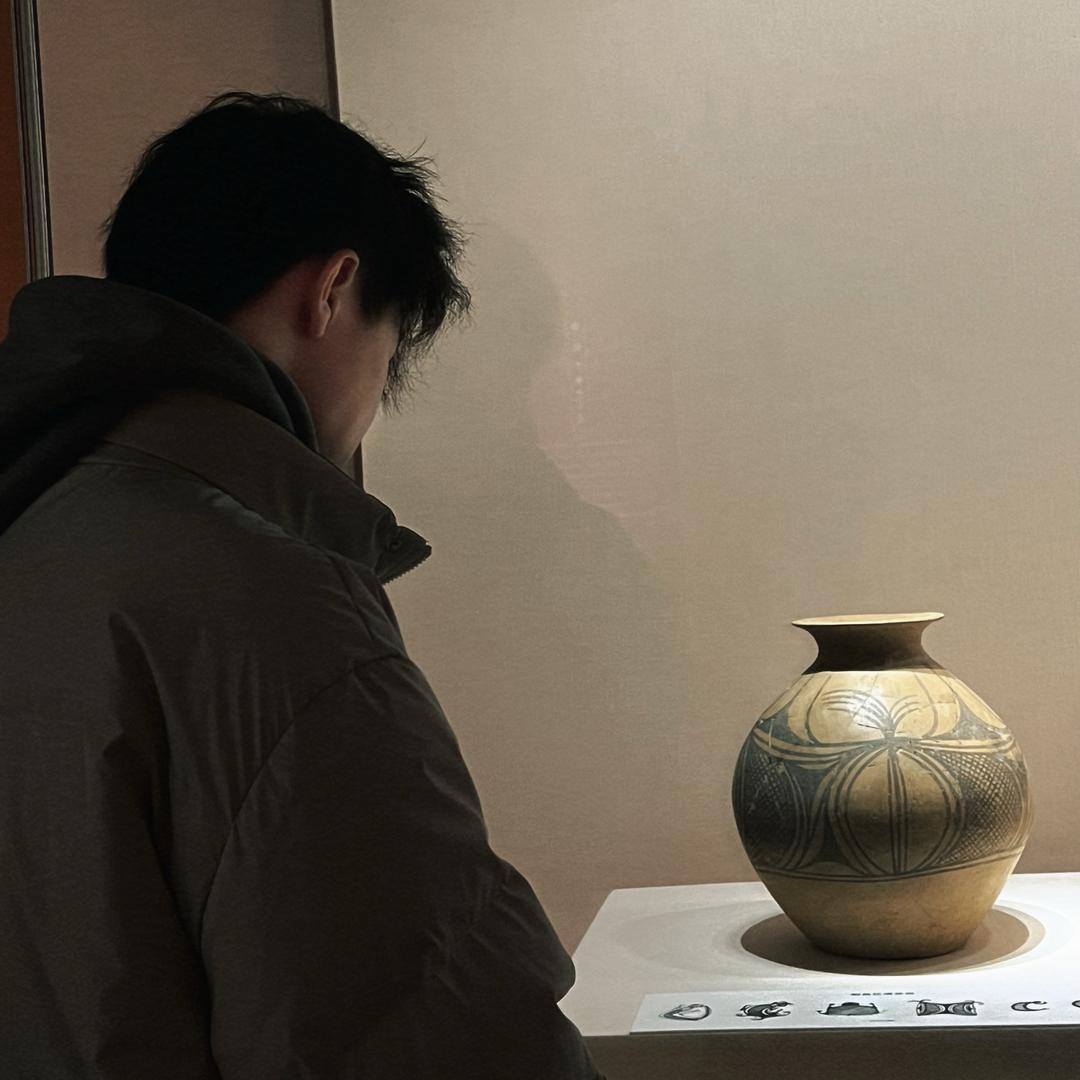 猫猫