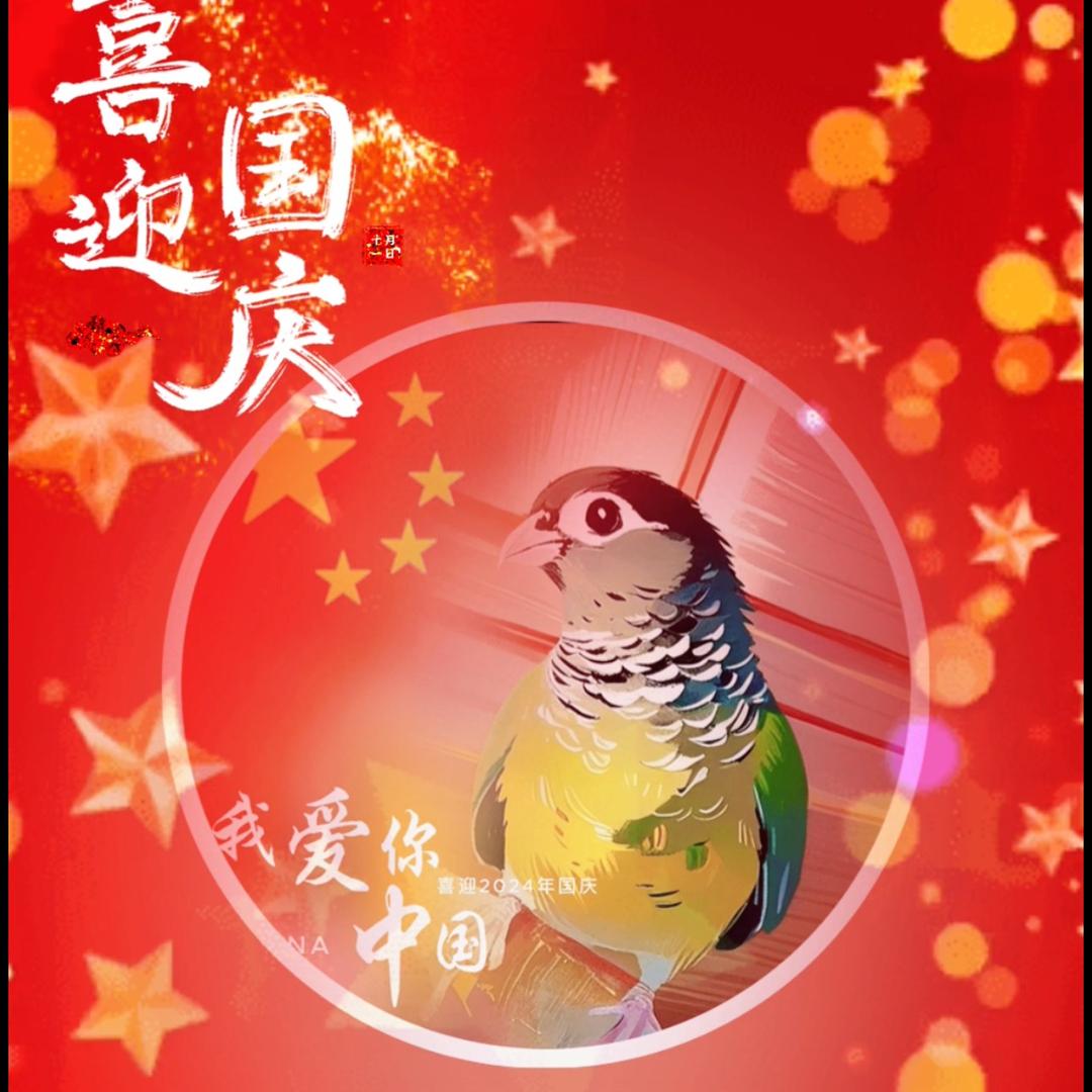 莲芯