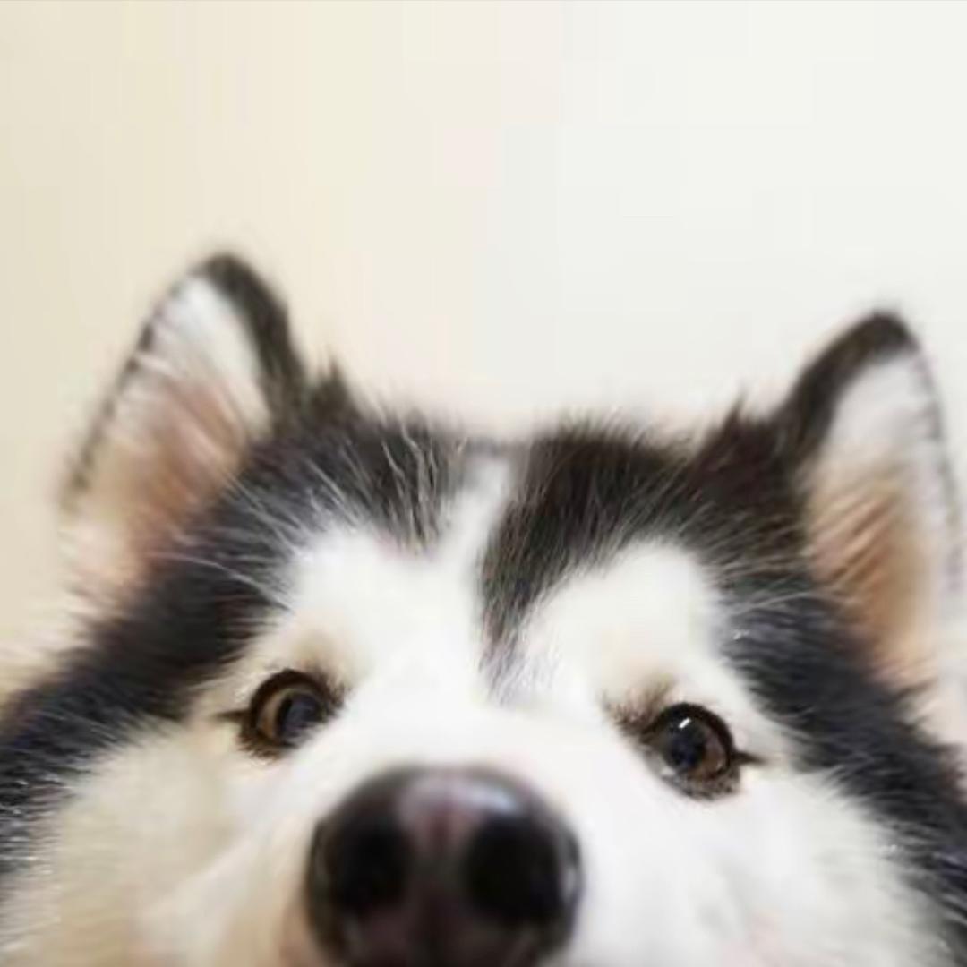 执許👋