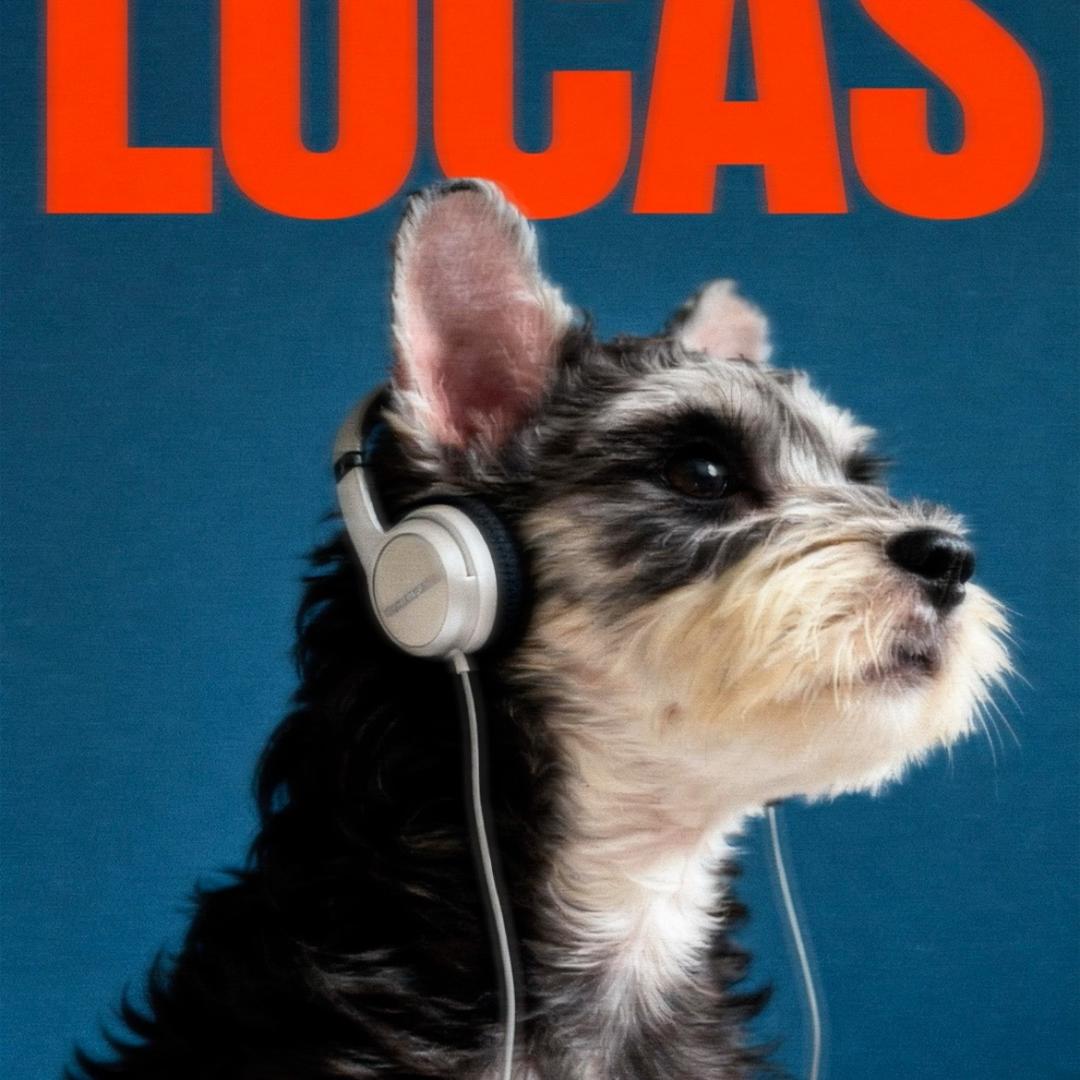 嘿！我是胖臭宝