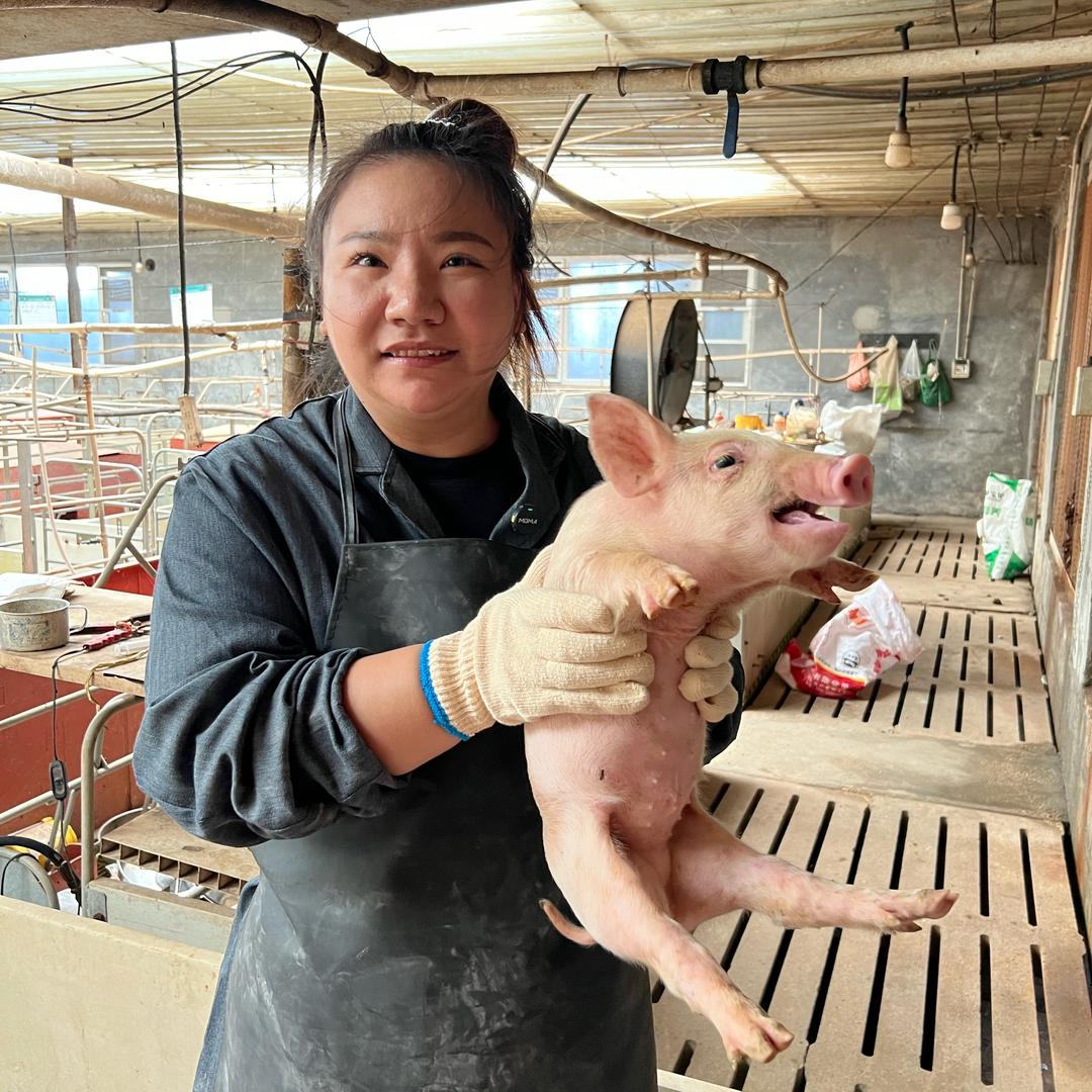 农村妞姐纯粮土猪