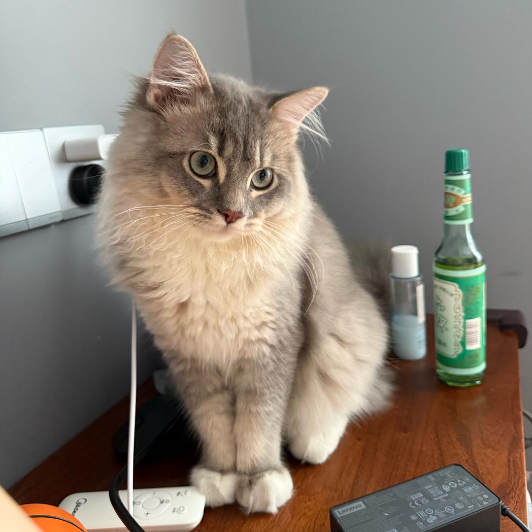 一颗鲜美多汁的🍑