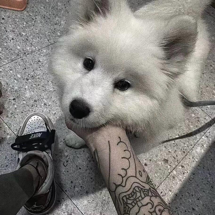 神也是王