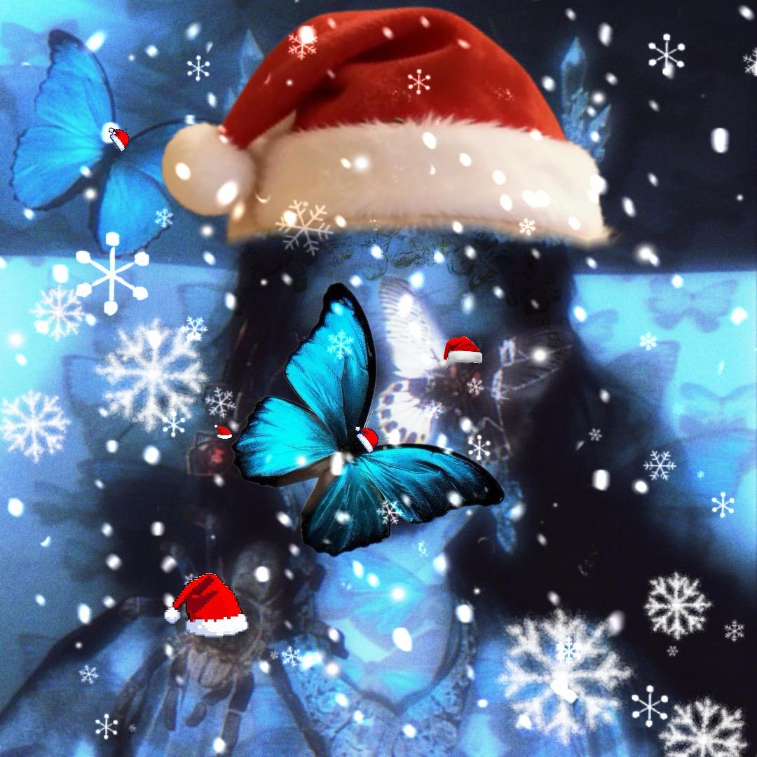 🦋蜘蛛女皇🕷️（圣诞节限定🎄）