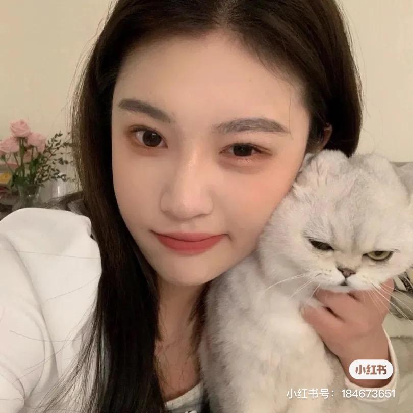 猫宁.