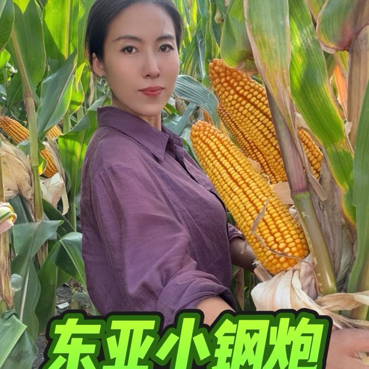 东亚种业雨晴【橱窗领券下单】