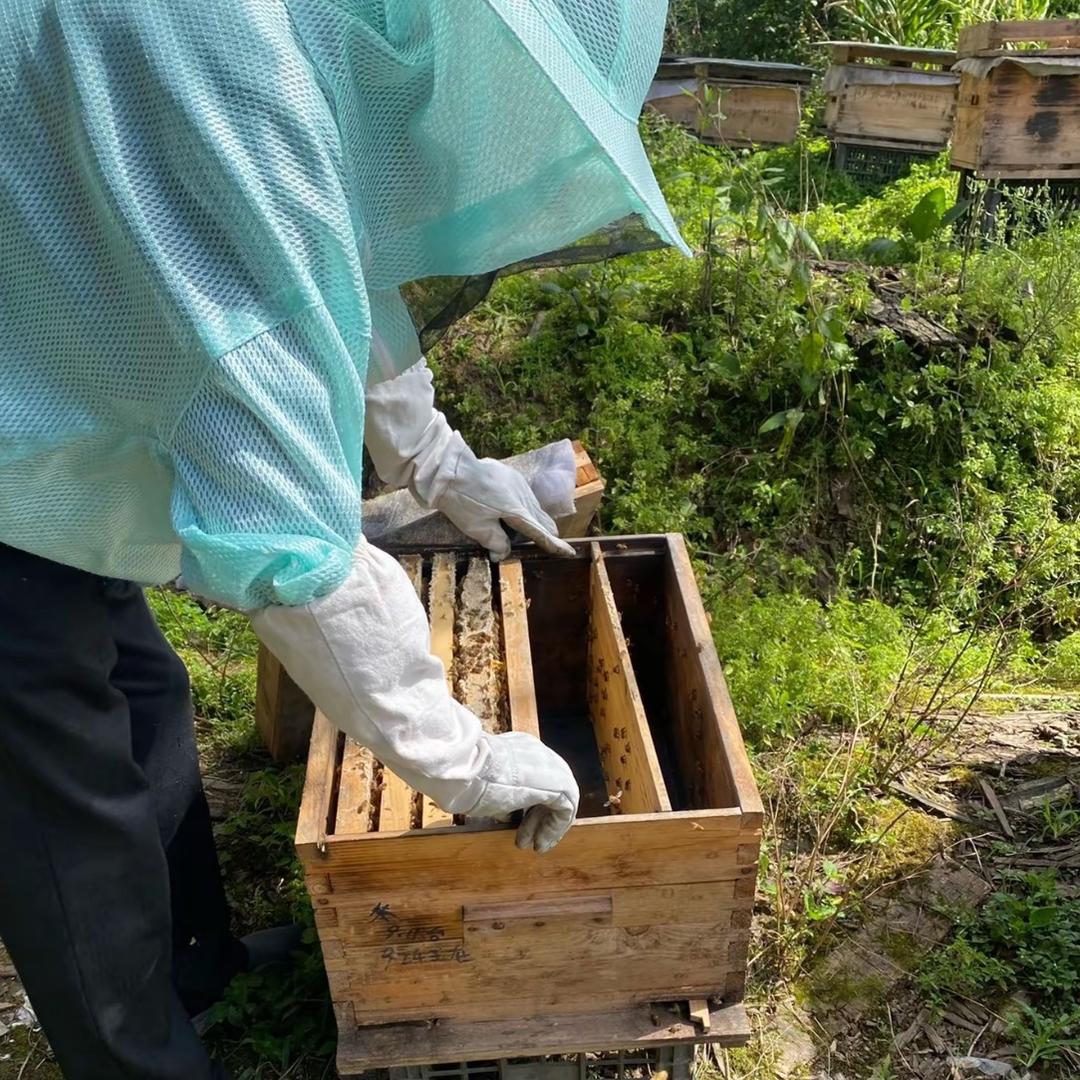 小刘的养蜂生活