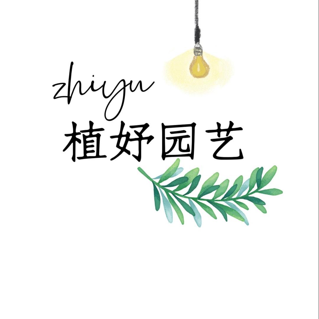 植妤园艺