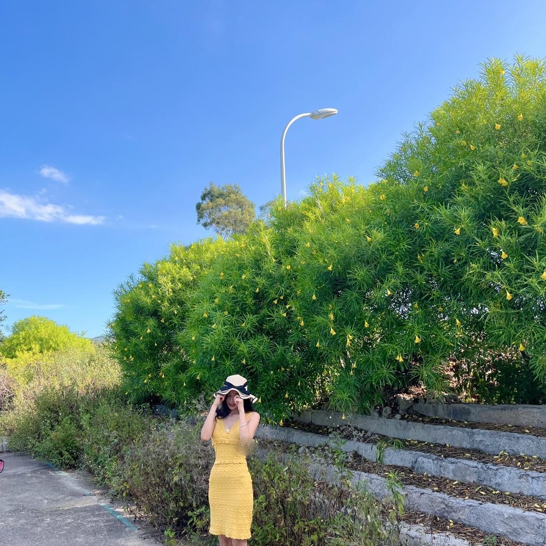 戴姑娘小店（游鱼得水路亚）