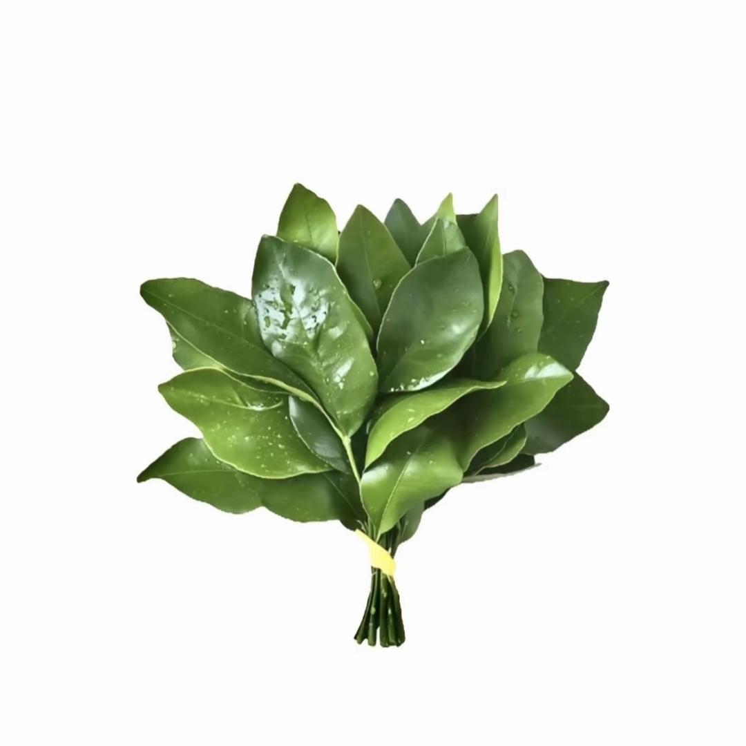 小克健身器械-小李