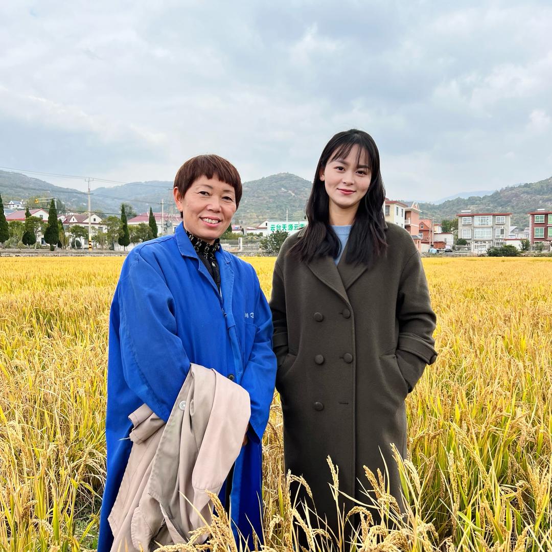 小苏文