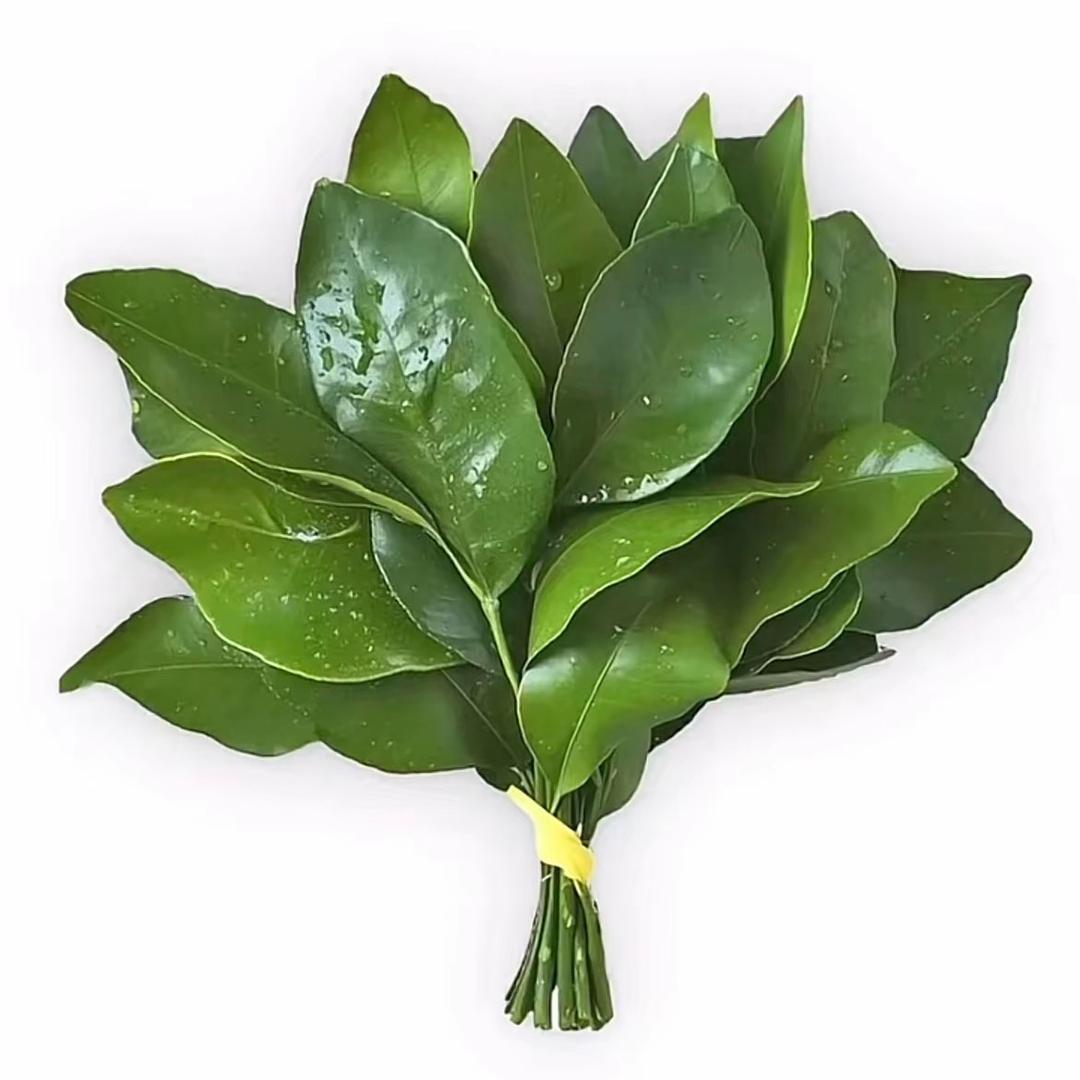 Liuyingzi_
