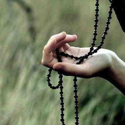 沐若清辰…………