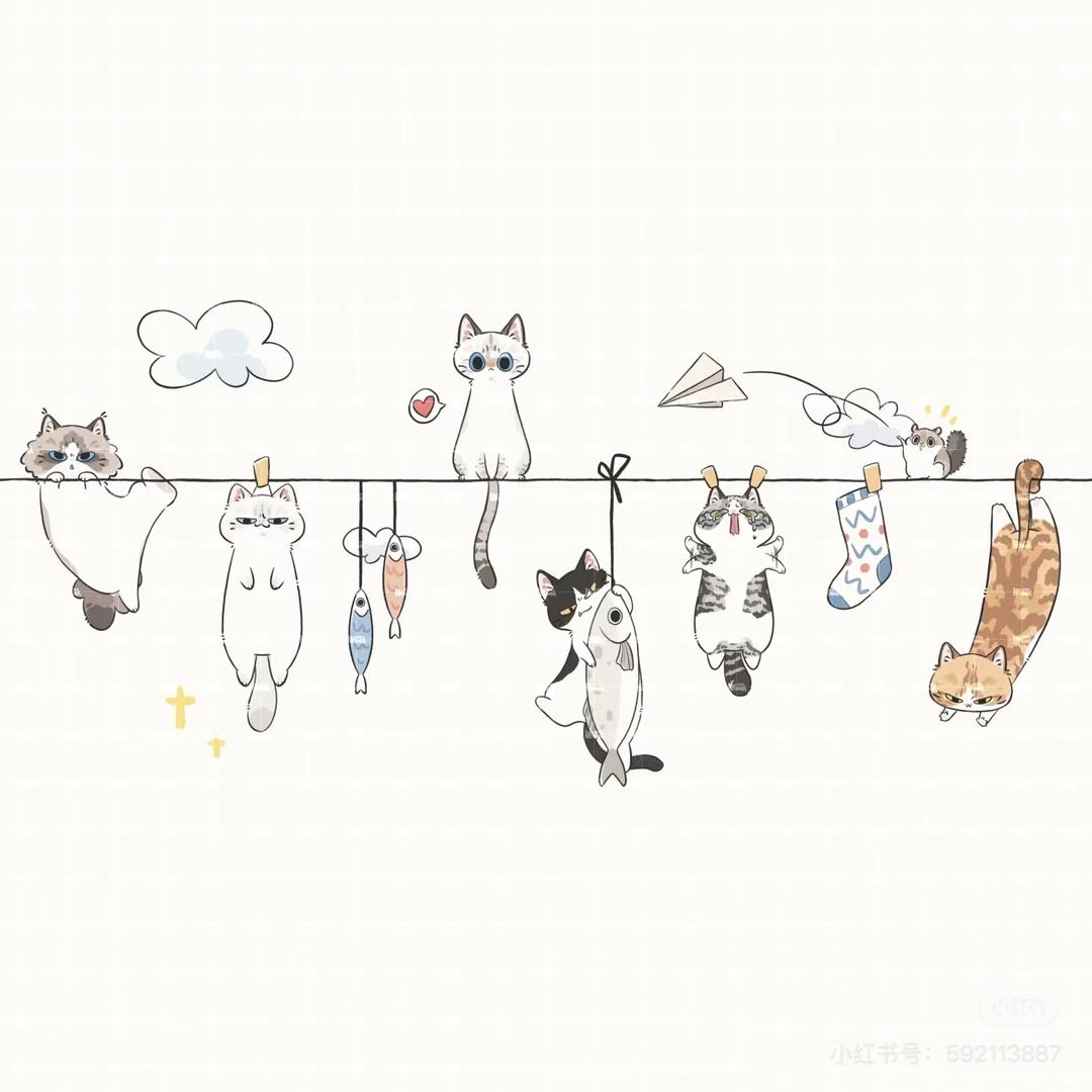 琪乐融融