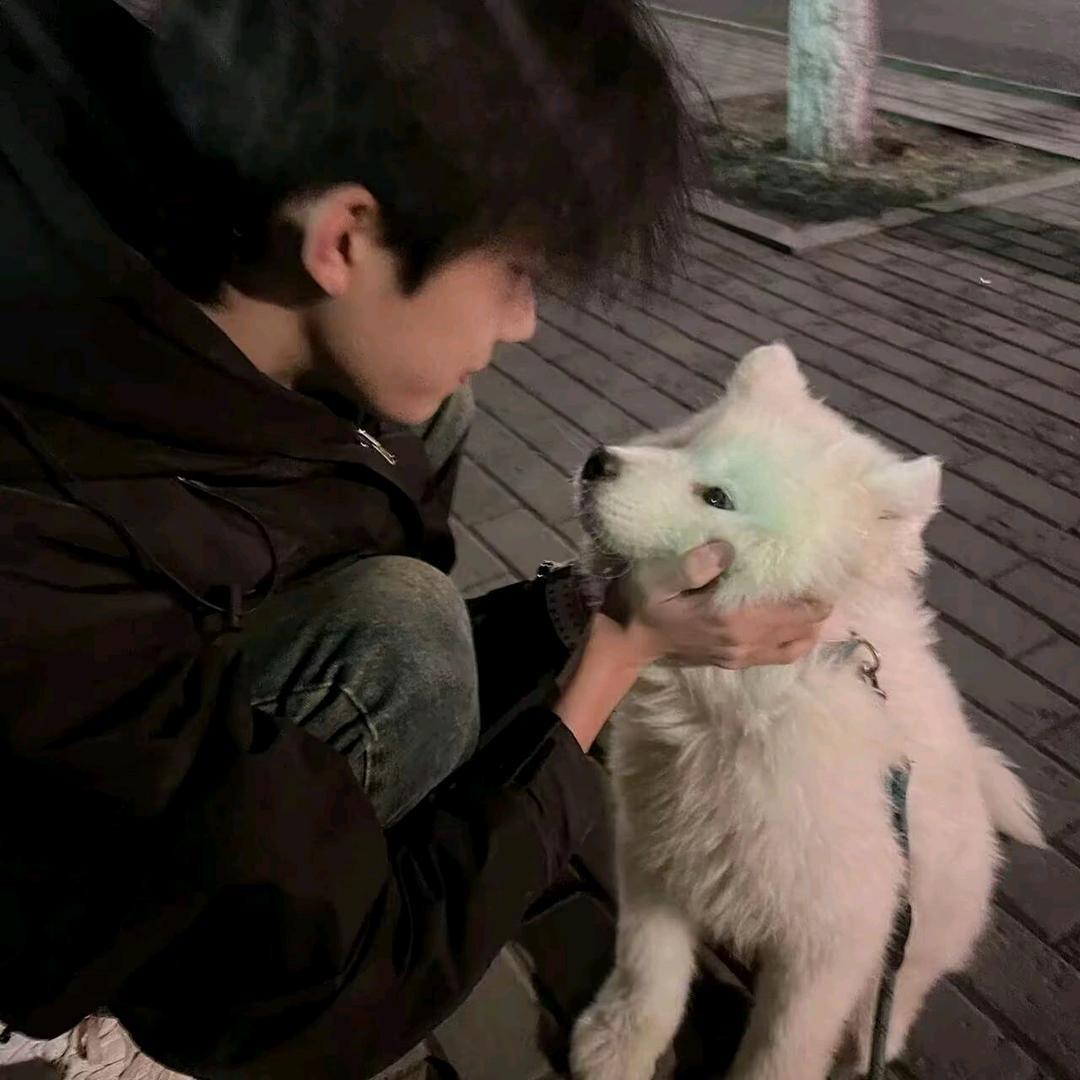 小白羊