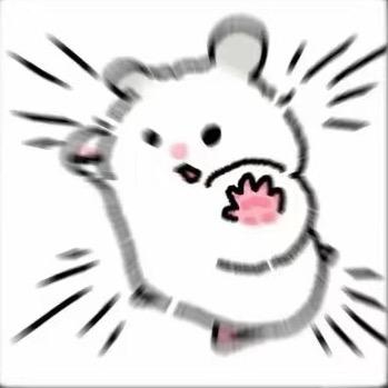 葱葱鲫鱼