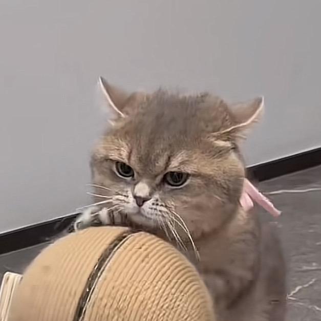 漫曼