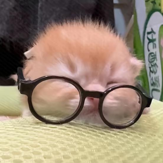 今晚听-
