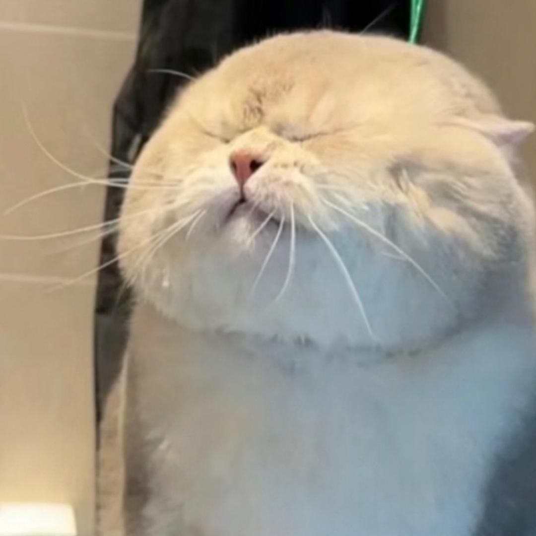 喝酒第一