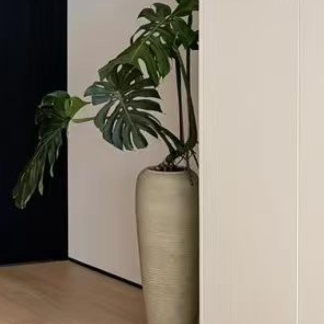 智慧妇人建立家室🏠