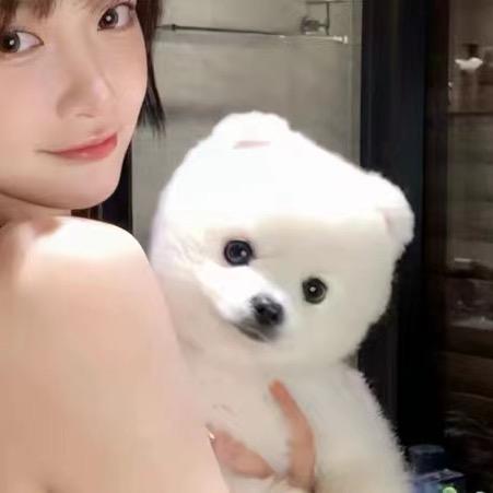 ice情感麦克雷