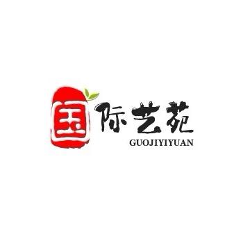 国际艺苑·点睛视频