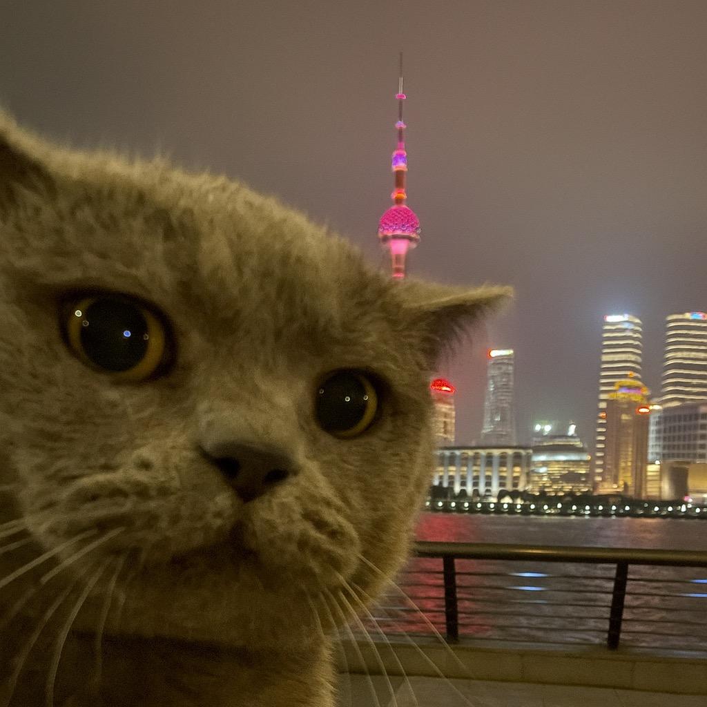 铁头与呼噜