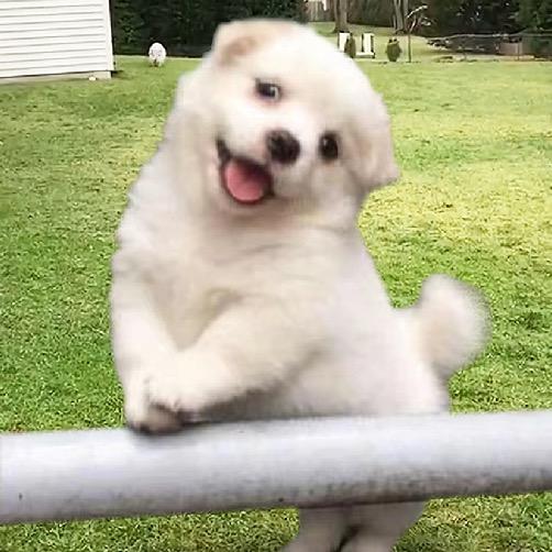 周一心情拯救者