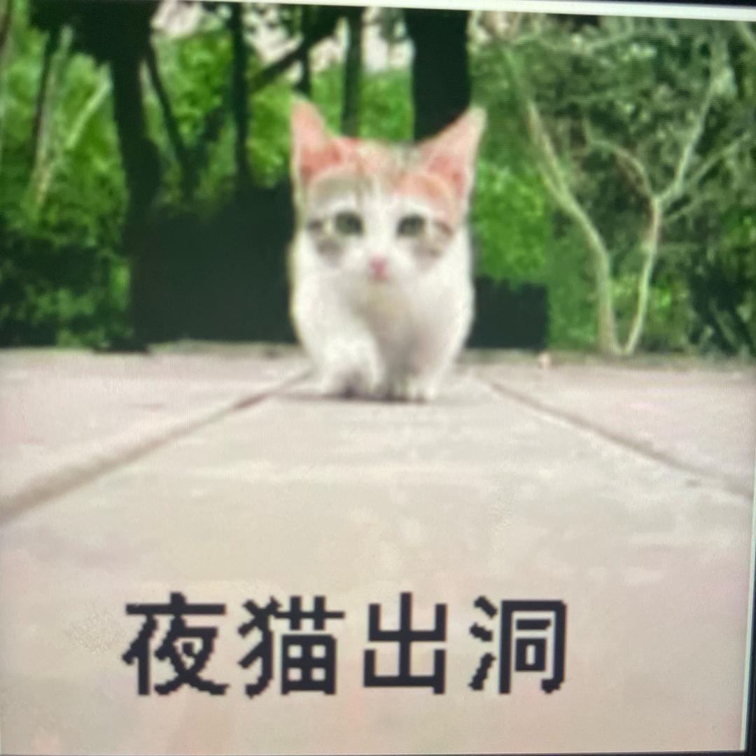 《桔子》
