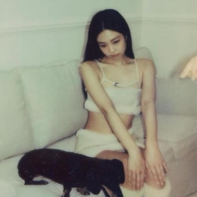 多莉丝君