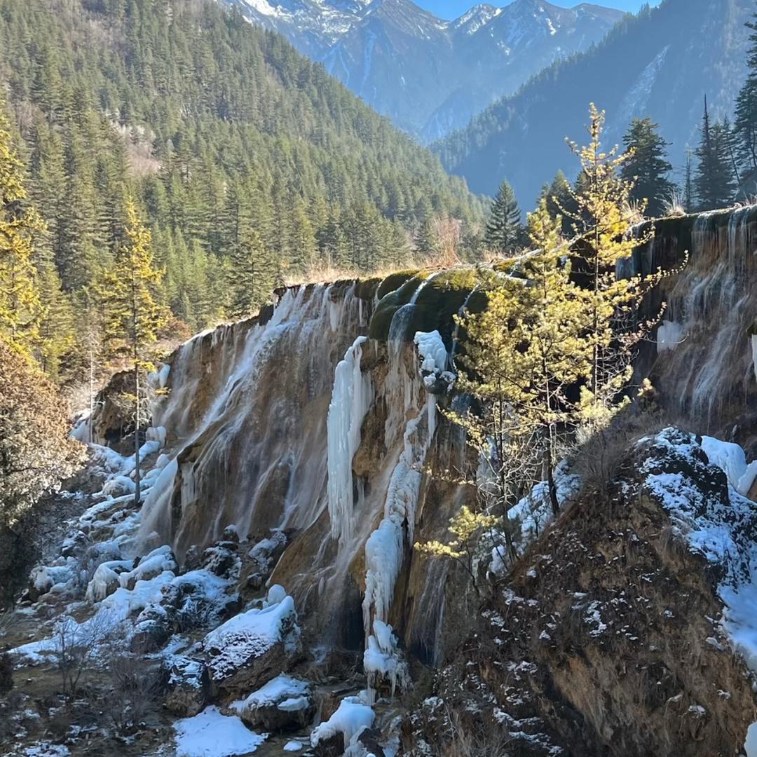宅顺纳福