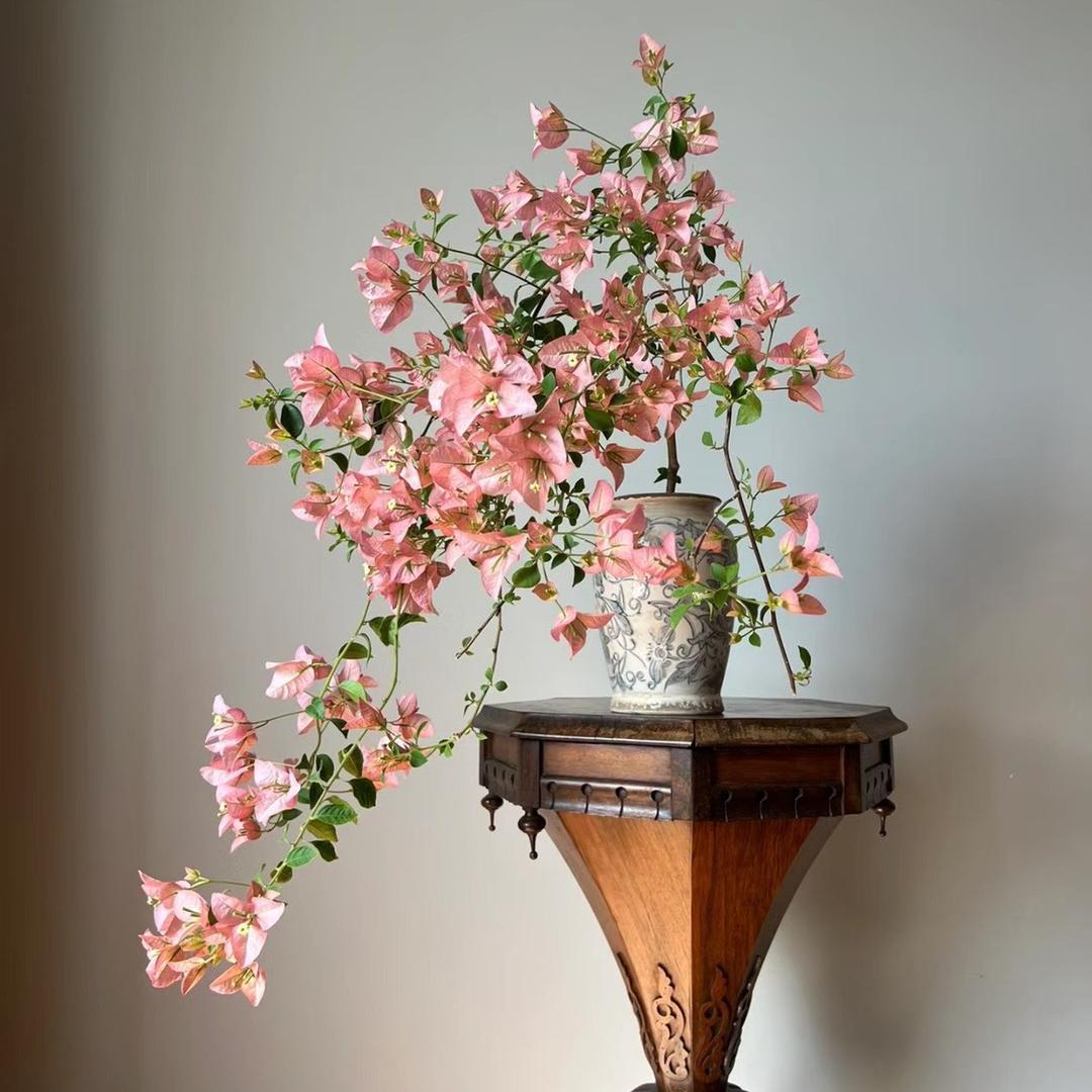 姑娘在远方～🌻