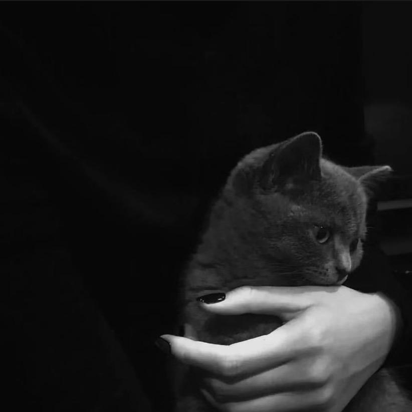 番茄鸡蛋汤