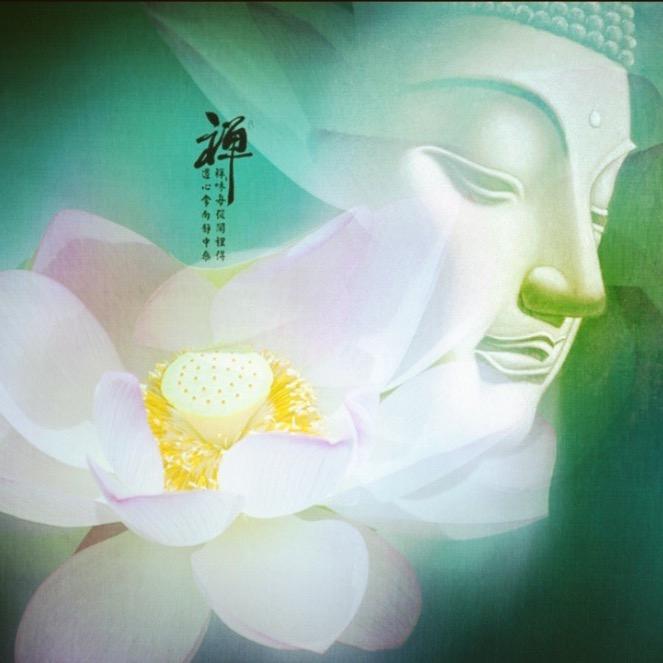 合睦马术庄园