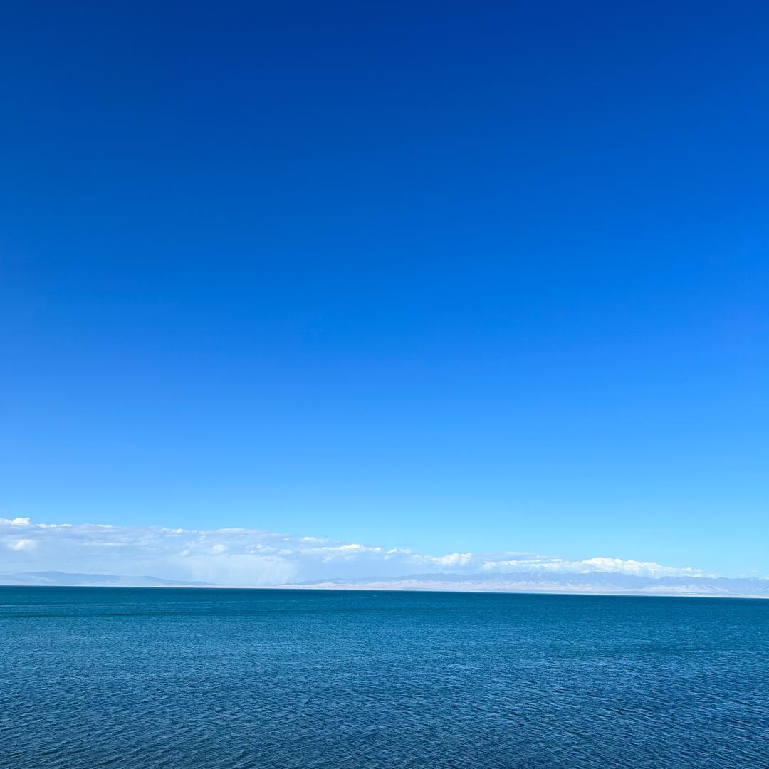 子茜🧜🏻‍♀️