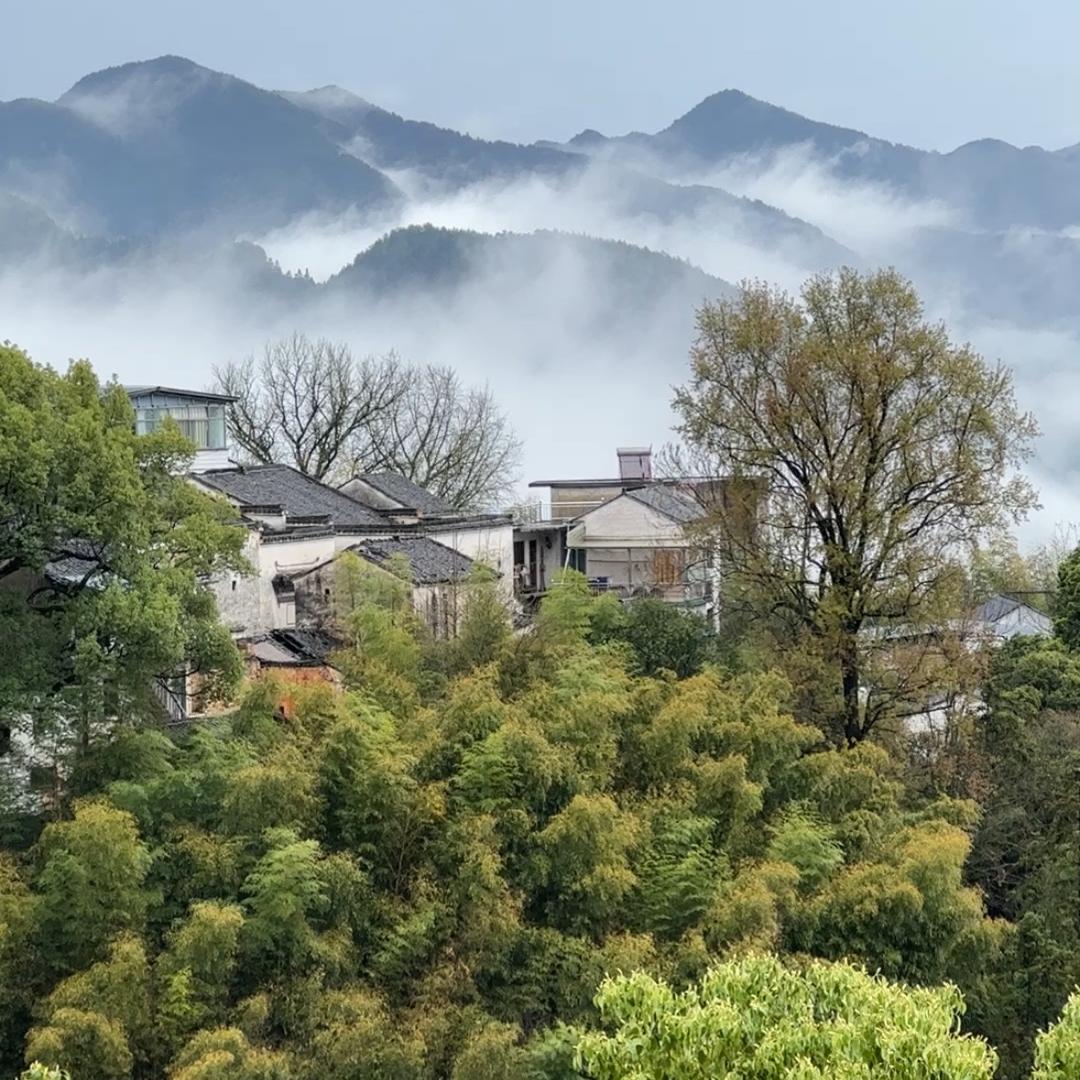 小炜进村