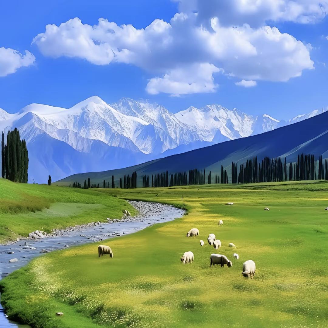 农民工体力主播