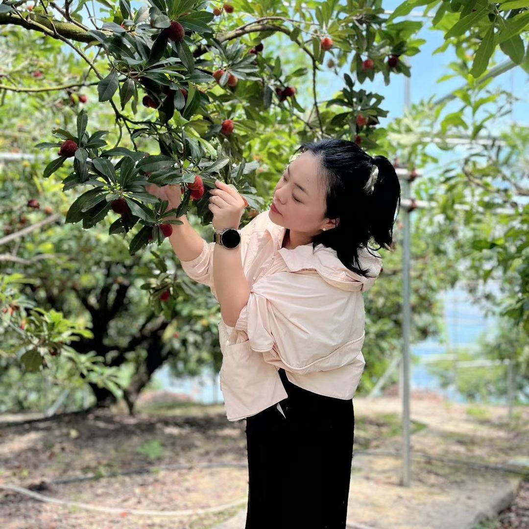 集淘姑娘（集淘农业）