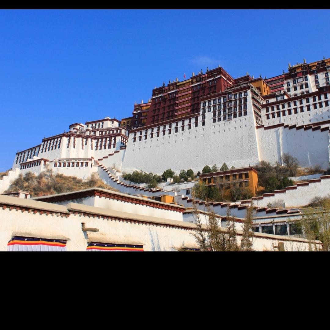方向权哥