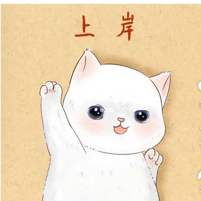 是小小杨📝（考编）