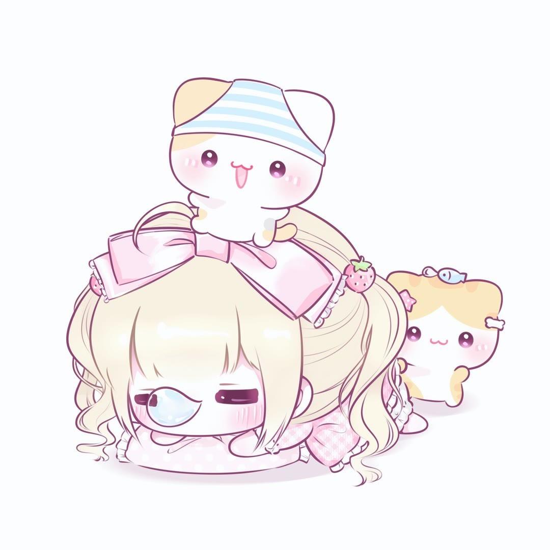 养小猫