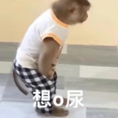 🐘🐷