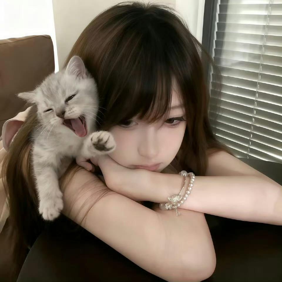 你是不是油猫饼