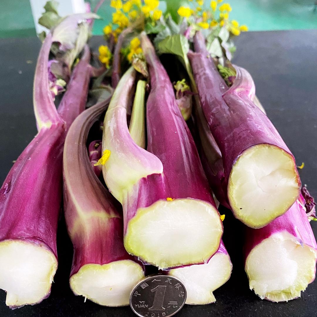 正宗洪山菜苔原产地